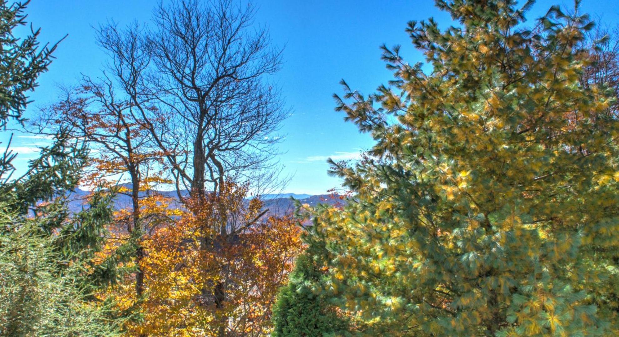 Klonteska Condominiums By Vci Real Estate Services Beech Mountain Rom bilde
